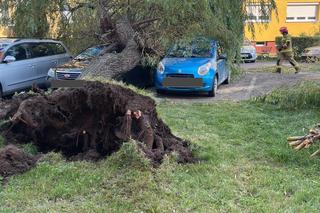 Gwałtowna burza nad Dolnym Śląskiem. Gradobicie, ulewa i mnóstwo zniszczeń