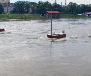 Fala powodziowa we Wrocławiu. Pod wodą są już beach bary i drogi 