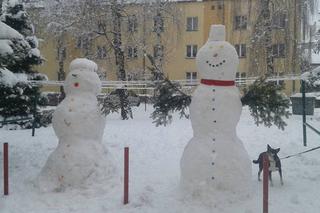 Śnieżne bałwanki na Podkarpaciu: Zobacz prace naszych Czytelników