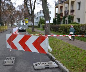 Kierowcy z Iławy: Tu nie parkujemy! Będą wycinać drzewo