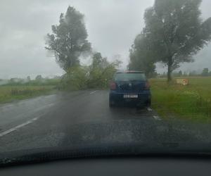 Wichury w Podlaskiem. Setki interwencji strażaków w całym regionie