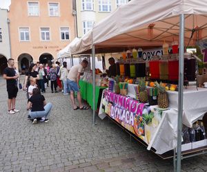 Dni Olsztyna 2025. Dziesiątki wystawców i setki olsztynian na Jarmarku Jakubowym