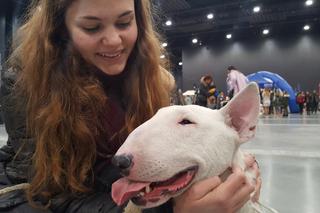 Międzynarodowa Wystawa Psów Rasowych w Bydgoszczy