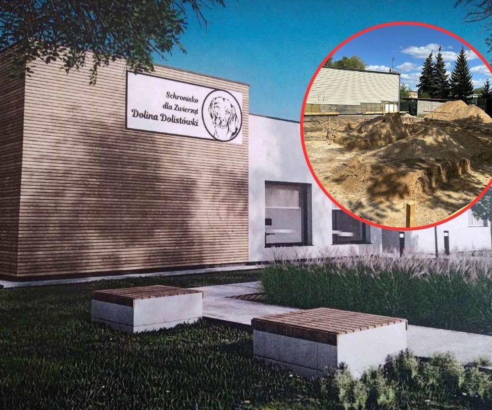 Nietypowa inwestycja w Białymstoku. Tu powstaje pierwszy szpital dla zwierząt [ZDJĘCIA]