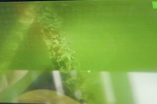 Ojciec zaginionego Krzysia Dymińskiego eksploruje dno rzeki. Wyłowił z niej szokujące rzeczy. „Może ktoś rozpozna”