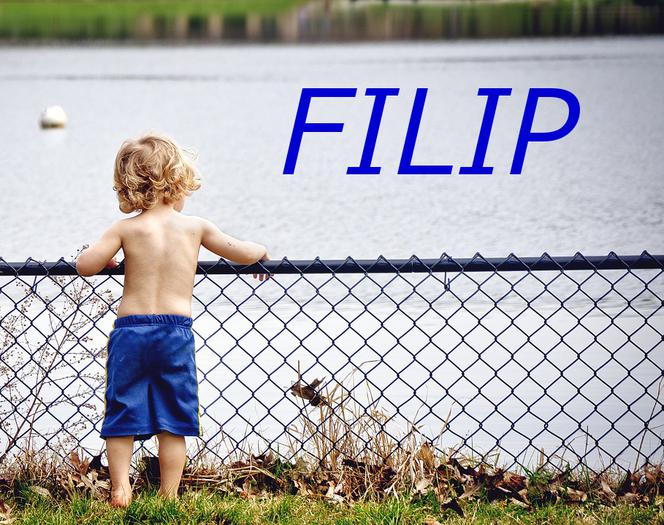 FILIP