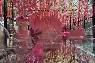 Różowa szklarnia w Bacówce najbardziej instagramowym miejscem na Podkarpaciu