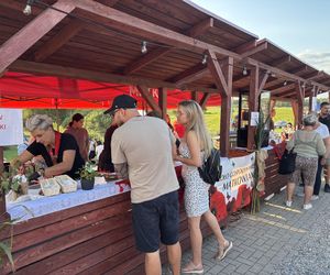 Eska Summer City Olsztyn na 10. edycji Festiwalu Koloryt cz.1
