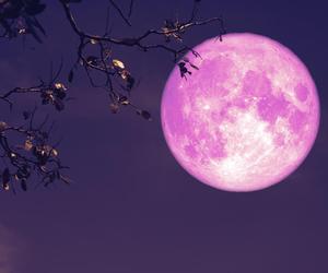 Różowy Księżyc w kwietniu 2024. Na niebie zobaczymy magiczne zjawisko