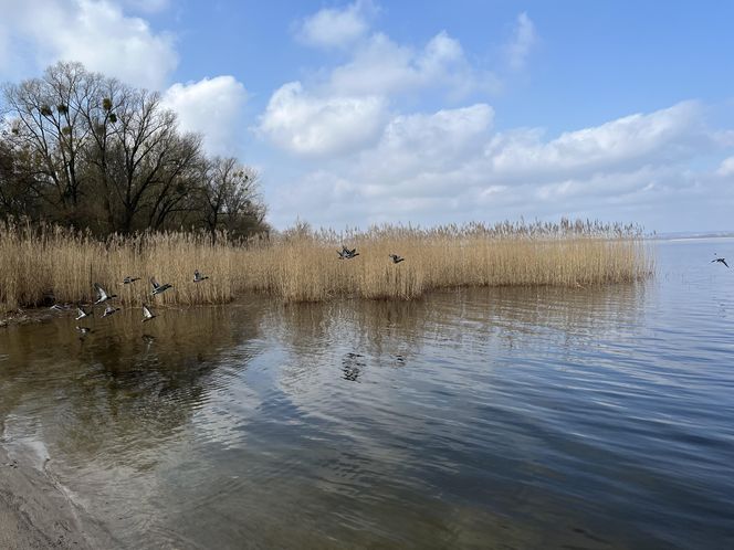 Kąpielisko i Jezioro Dąbie