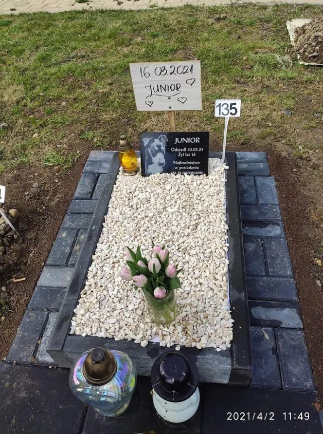 W całym woj. śląskim jest tylko jeden taki cmentarz. Miejsce, gdzie pamięć o pupilu nie umiera