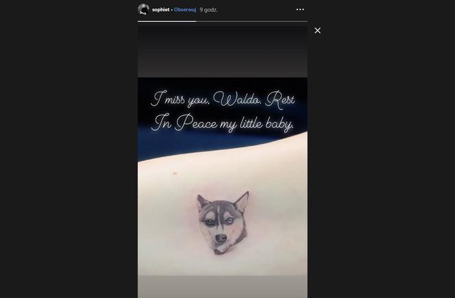 Sophie Turner zrobiła tatuaż ku czci psa