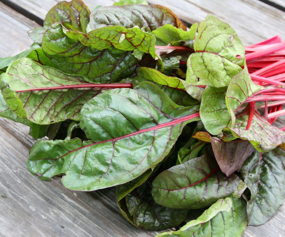 BOTWINA - pobudza apetyt, odkwasza organizm i koi nerwy