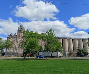 Rogowska kolej wąskotorowa. To perełka wśród zabytków techniki w Łódzkiem