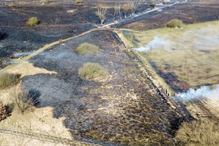 Pożar łąki w Szczecinie, 18.03.2025