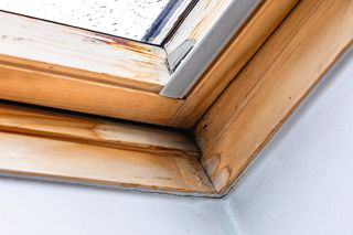 Pozbądź się wilgoci i grzyba! Skutki złej wentylacji domu. Ekspert wyjaśnia, jak prawidłowo wentylować dom