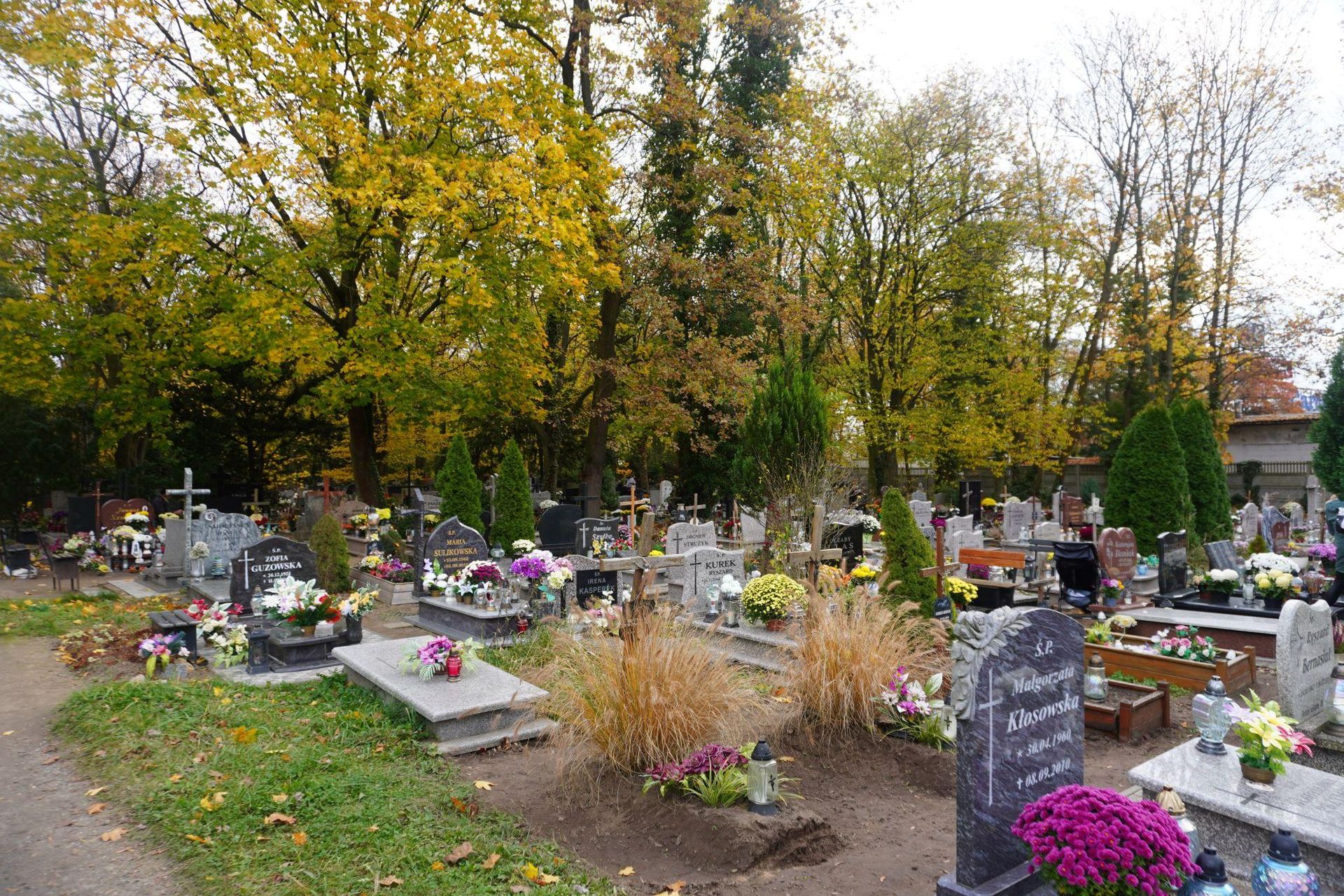 Cmentarz Centralny W Szczecinie Podczas Uroczysto ci Wszystkich Cmentarz Centralny W Szczecinie Podczas Uroczysto ci Wszystkich