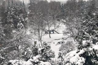 Nad Zoo w Chorzowie kursuje nowa Elka - fotki z pierwszego przejazdu nowej linii kolejki w Parku Śląskim