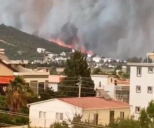 Fala upałów w Europie! Centra chłodzenia powstają w miastach