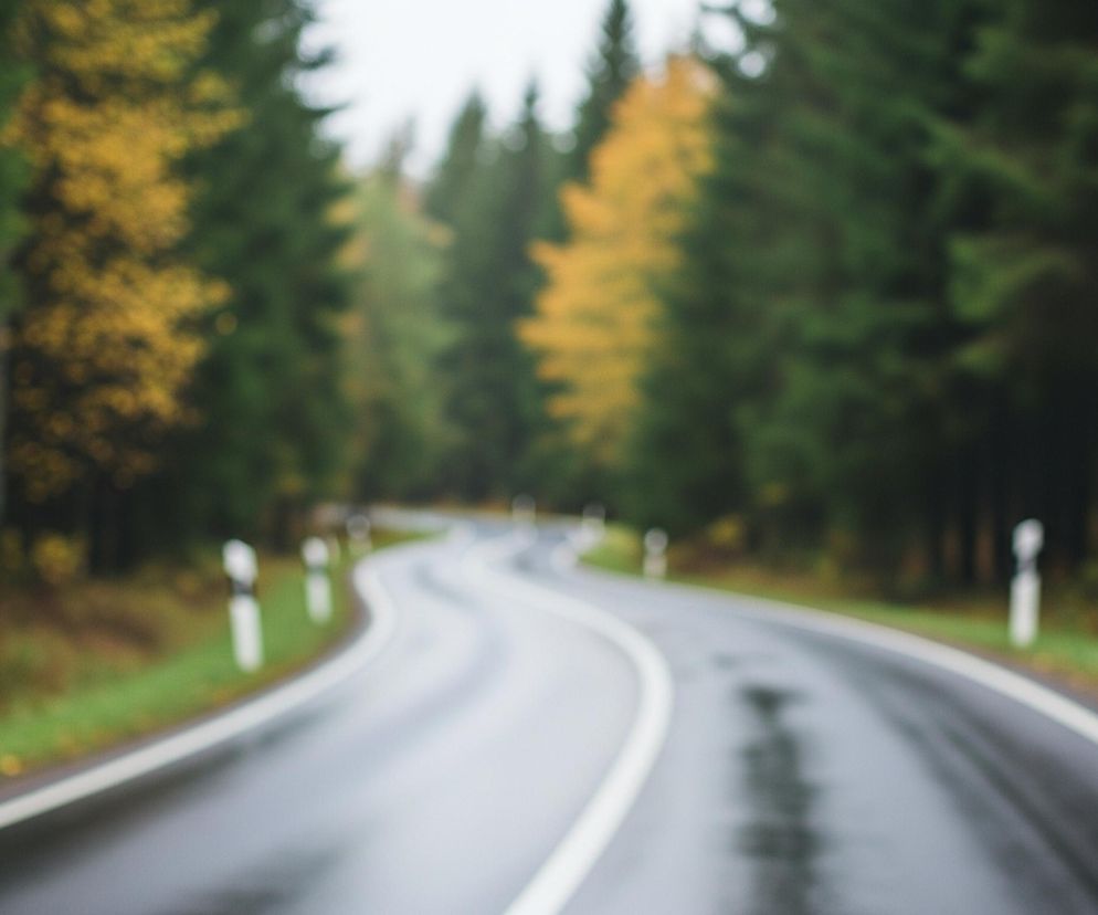 Rozmazaną drogę biegnącą przez las. Asfaltowa nawierzchnia jest ciemnoszara i błyszcząca, z widocznymi mokrymi plamami, co sugeruje deszcz lub wilgoć. Droga zakręca w prawo, a jej krawędzie wyznaczają białe linie; pośrodku również znajduje się przerywana biała linia. Po obu stronach drogi rosną drzewa, głównie iglaste o ciemnozielonych koronach, przeplatane kilkoma drzewami liściastymi o jaskrawożółtych i pomarańczowych liściach, zwłaszcza w głębi obrazu. Wzdłuż prawej krawędzi drogi widać białe słupki odblaskowe. Tło jest jasne, ale zamazane, co wskazuje na zamgloną lub pochmurną pogodę.