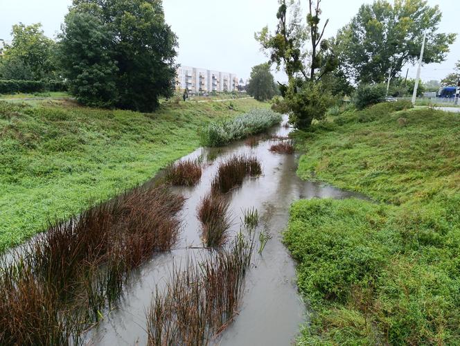 Sytuacja pogodowa we Wrocławiu i okolicach