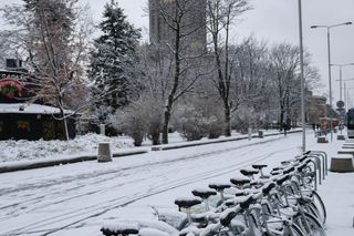 Stolica pod śniegiem 