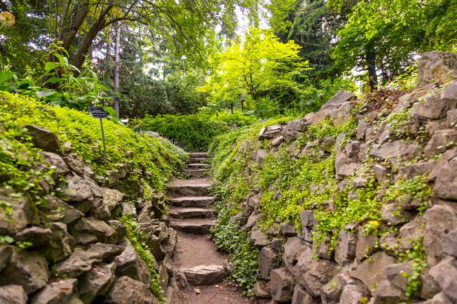 7 najładniejszych ogrodów botanicznych w Polsce. Kiedy je odwiedzić i gdzie są?