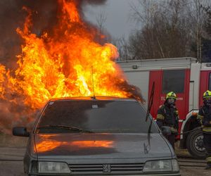 Podejrzany o podpalenia śmietników w Radomiu w rękach śledczych 