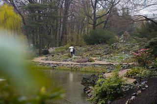Arboretum w Wojsławicach otwarte po zimowej przerwie