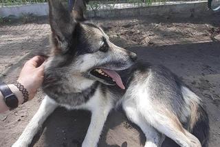 Mokka w COZ w Grudziądzu