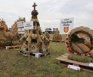 Dożynki wojewódzkie 2025 w Świdniku