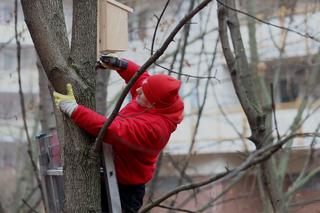 Leśny Korytarz na lubelskim Czechowie wzbogacił się o nowe drewniane elementy dla zwierząt