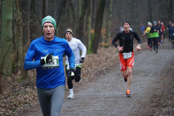 City Trail w Bydgoszczy. Miłośnicy biegania opanowali Myślęcinek [ZDJĘCIA]