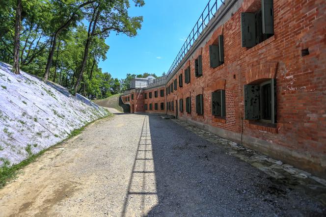 Prace nad Muzeum Ruchu Harcerskiego wchodzą w decydujący etap. Nad wszystkim będzie czuwać specjalny zespół