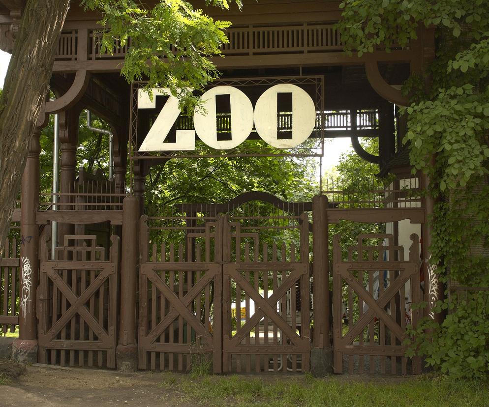 Tatuś roku zabrał rodzinę na wycieczkę do zoo. Narobił wstydu w Dzień Dziecka