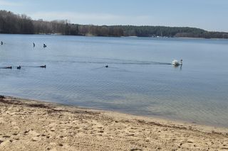 To miasto w Polsce ma najwięcej jezior. Wcale nie znajduje się na Mazurach