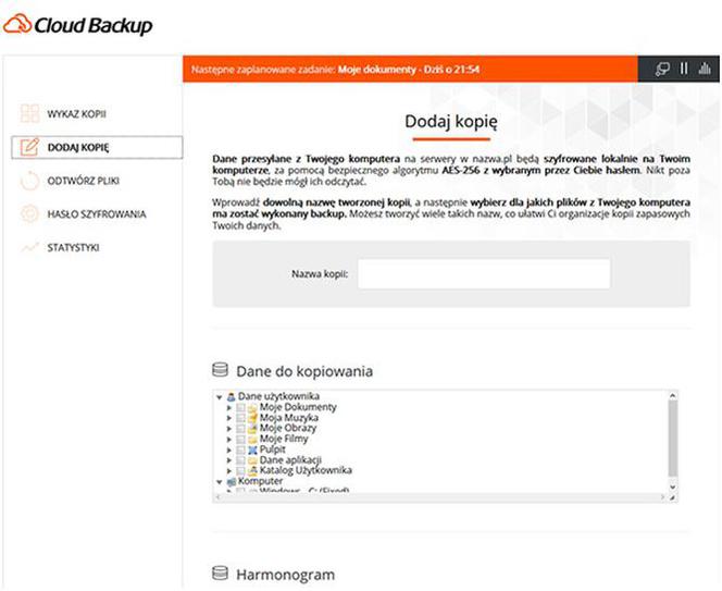 Bezpieczne przechowywanie plików w chmurze. Cloud Backup pomoże zabezpieczyć dane Twojej firmy