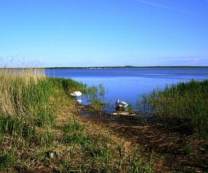 To największe jezioro na Pomorzu. Jest trzecie pod względem wielkości w Polsce 