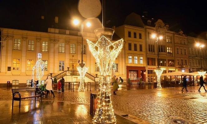 Bydgoszcz: Choinka z Borów Tucholskich stanęła na Starym Rynku