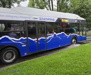 Pijany turysta żądał, aby autobus miejski zawiózł go z Zakopanego do... Krakowa. Wezwano policję