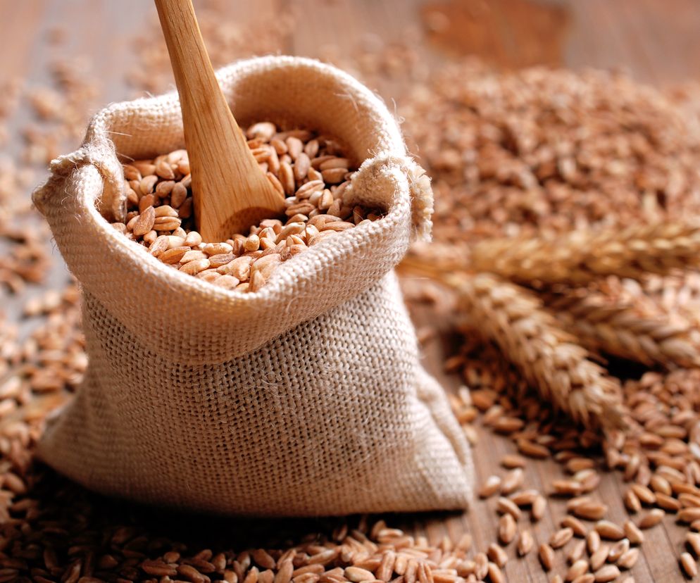 Pradawne (prastare) zboża - samopsza, płaskurka i nie tylko