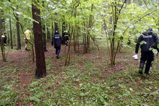 77-letnia Zofia Kottas poszła do lasu na grzyby i zaginęła