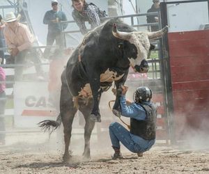  Rodeo w Gliwicach w ogniu krytyki