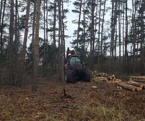 ​Wycinają sosny na ulicy Geodetów w Lesznie. Co tam powstanie? 