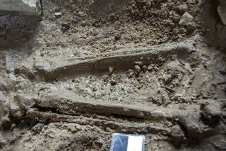 Sensacyjnye odkrycie w Bytomiu