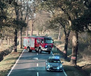 Śmiertelny wypadek pod Polkowicami. Nie żyje kierowca audi [ZDJĘCIA]