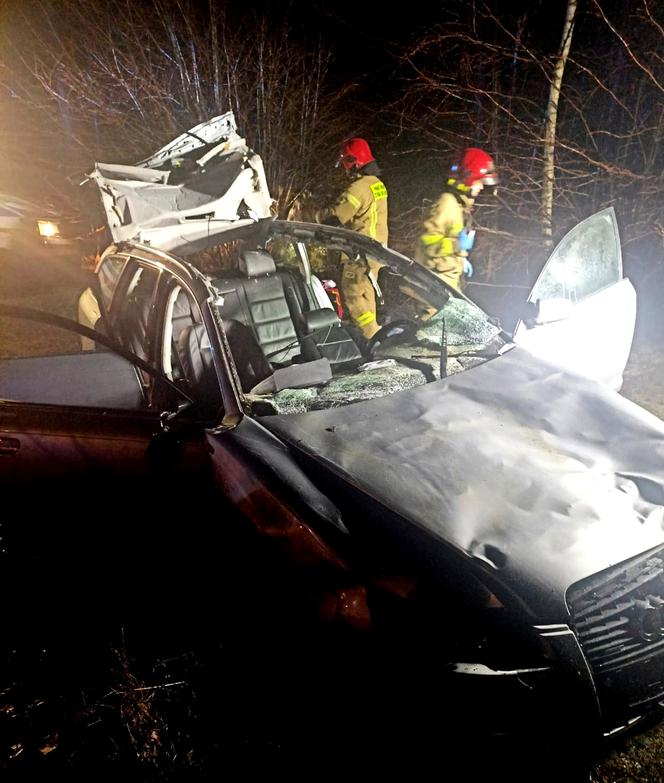 Groźny wypadek w Szymankach. Auto roztrzaskało się po zderzeniu z łosiem [ZDJĘCIA]