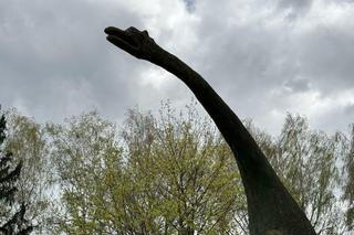 W Łęcznej znajdziecie najdziwniejszych park jurajski w Polsce. Zobacz zdjęcia!