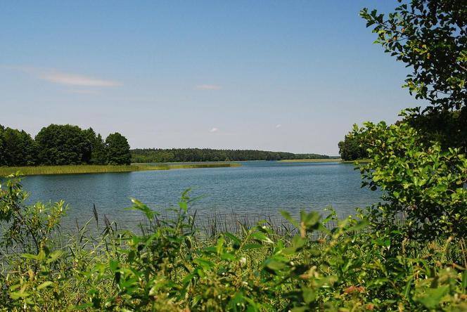 To najczystsze jeziora w Polsce. Znajdują się na Podlasiu!