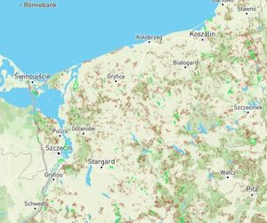 Mapa wycinki lasów 2025 - woj. zachodniopomorskie